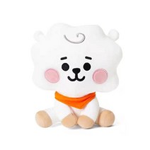 BT21 타타인형 뷔 캐릭터인형 방탄굿즈, RJcm