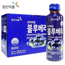 영진약품 프리미엄 블루베리 120ml X 30병 상큼한 블루베리 음료 손님 접대 드링크, 30개
