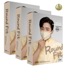 라이브잇 이로와프리즘방역마스크(KF94)(대형)(연한황색), 연한황색, 39개, 10개입