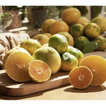 제도주 산지직송 고당도 하우스감귤 가정용 선물용 2kg 3kg 5kg, 4.5kg(선물용), 최상품혼합