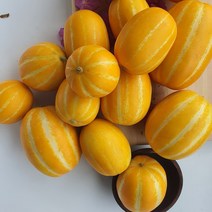 참외 진짜 단 성주참외 프리미엄 실속형 2.5kg 실중량, 1박스, 성주참외 프리미엄 실속형 중과 2.5kg