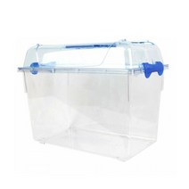 와이피 클린 곤충 채집통 L, 혼합색상, 1개