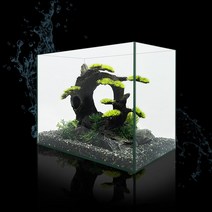 칸후 프리미엄 일반어항 20큐브 20x20x20 5T