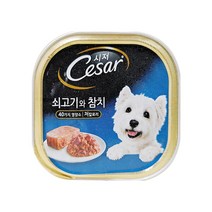 시저 반려견 주식캔, 소+참치, 100g, 1개
