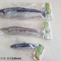 고양이 장난감 꽁치20cm, 고양이 장난감 꽁치(20cm)