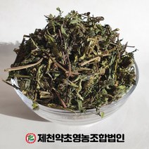 국산 한련초 500g 제천약초영농조합, 1, 500