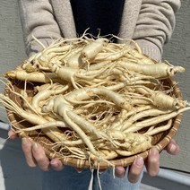 푸드공작소 금산 세척 수삼 5년근 원수삼 난발삼 300g 8-12뿌리 4-6뿌리 세척삼, 1개, 01)세척 원수삼 4-6뿌리 300g(±20g)