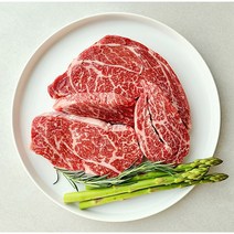 한우1++(9)등심모듬 구이용 300g, 1개