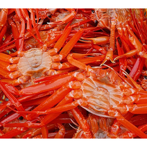 제철 박달 홍게 산지직송 울진 속초 자숙 수율보장 박달 홍게 3kg (10미 내외), 박달 홍게 3kg (10미 내외) 1박스