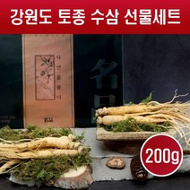 수삼 선물세트 자연산 인삼 생삼 강원도 산지직송 생인삼 고려인삼 7-9뿌리 꿀절임 수삼차 주스 쉐이크 담금주 요리용 국내산 설 추석 명절 선물용, 200g X 1세트