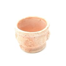 작은모종 로제트 다육이용 물마름토분 브라이언로즈 머니트리 러우 대품 피치스앤크림, o(단순변심불가)