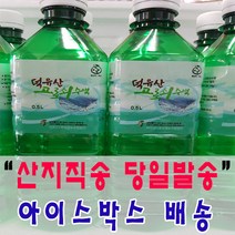 (아이스박스 배송) 첫물 달콤한 청정 덕유산 100% 고로쇠수액 당일발송, 18L, 1개