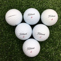 타이틀리스트 pro v1x 화이트 A-급 10알 3피스 4피스 필드 라운딩용 물세척 창고직영 로스트볼
