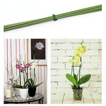 마이플랜트 식물 지지대 지주대 4mm_85cm(10개), 10개