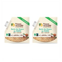 TERRE DES ILES 테르데질 언리파인디드 비정제 코코넛 블라썸 슈가 설탕 coconut blossom sugar 200g 2개, 1세트