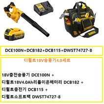 디월트 DCE100M1 디월트18V충전송풍기 SET 18V4.0Ah배터리1개 충전기1개 SET상품