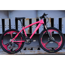 30만원대 로드 자전거 24인치 26인치 도로 스포크, 27단/실버 - 스포크 휠/24인치