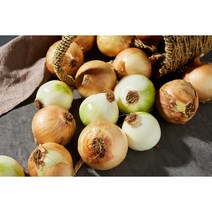 국내산 양파 햇양파, 5kg(1개), 1개