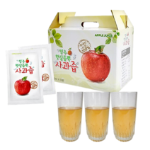 영주 사과즙 상큼달달 햇살듬뿍 순수사과즙 100mlx30, 1개, 100ml