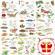 세밀화로 그린 보리 어린이 도감 시리즈 책 동물 흔적 갯벌 곤충 나무 민물 바닷 물고기 버섯 새 식물 양서류 파충류, 동물 도감