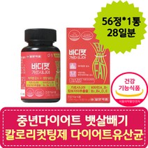 40대 뱃살 내장지방빼는법 가르시니아 다이어트보조제 30대 남자 중년다이어트 체지방빼는법 체중감량 처진뱃살 셀룰라이트없애는방법 다이어트전후 일주일다이어트 복부지방빼는법