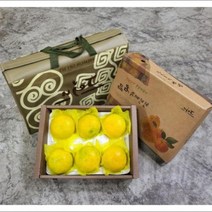 이든 황금향 2kg 선물용 5~10개 제주황금향 노지감귤 조생귤 부모님 친지 지인 선물 대량주문, 단품