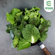 [온도씨]가락시장 모듬쌈 300g (2-3종류), 단품
