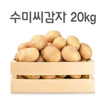 영진팜 강원도 대관령 왕산면 정품 씨감자 4kg 10kg 20kg 보급종 수미 두백 필대성, 수미감자(반찬용)