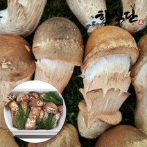 [한식단] 국내산 100% 참송이 버섯 1kg 중품 실속형, 단일속성