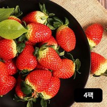 거창한 거창 거창 설향 딸기 350gX4팩, 단일옵션