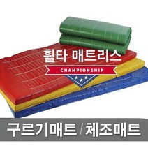 빅세일 [휠타매트리스] 90x180x6cm 구르기매트 체조매트 학교체육 유아체육 체육관매트 낙법 착지매트, 청색(Blue), 일반형