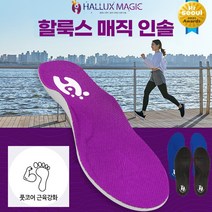 할룩스 매직 기능성 에어인솔 깔창 1세트, M (240mm~250mm), 코발트블루