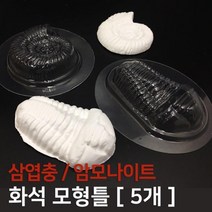 화석 삼엽충 암모나이트 만들기 모형틀 실험 학습 이해 실습 관찰 연구 방과후 과학, 암모나이트 5개