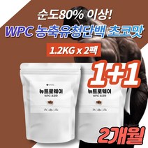 코스트코 가성비 단백질 보충제 파우더 벌크업 헬린이 프로틴 헬스 보조제 초코맛 포대 농축 유청 단백질 미국 WPC 아미노산 비타민 미네랄 스테비아, 2개, 1200g, 2개