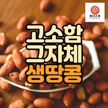 국산 생땅콩 800g 국내산 알땅콩 땅콩 충남 홍성 산지직송
