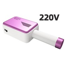 미니 가성비 원룸 1인 건조기 110V/220V 전기 의류 세탁 다기능 빠르게 건조 신발 공기 옷 히터 기계, [01] 미국, [06] 220V purple