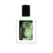 레암 루이지 콜루티 남성용 애프터 쉐이브 플래싱펄스, 100ml, 5개