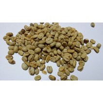 커피나무씨앗50g(250립)