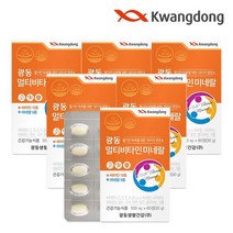 광동생활건강 광동 멀티비타민 미네랄 6박스 12개월분, 단품/단품