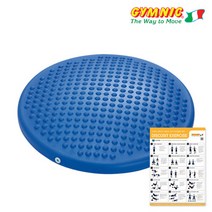 짐닉 디스코시트 파랑 지름39cm/밸런스 에어쿠션, 선택완료
