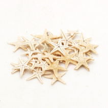 오꿈 조개껍질 조개껍데기 소라껍데기 소라껍질, D07 불가사리 (소), 봉