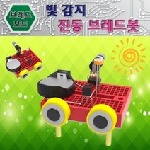 쭈fountain_사이언스팜 빛감지 진동 브레드봇 기판보드 로봇 로보트 브레드 전자회로키트 만들기 보드로♥jlove, ♥sngri!