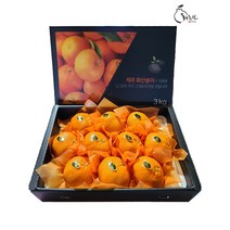 [황금원] 탱글탱글 식감이 뛰어난 레드향 선물세트 중과 2kg (7~12과내외), 1box