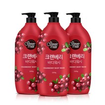 애경 샤워메이트 파머스 바디워시 1.2Lx3개베리 추천