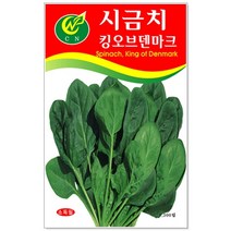 나물 씨앗 택1 곤드레 / 냉이 / 방풍 / 산마늘 / 시금치 / 월동시금치 / 참나물 / 취나물 나물심기, 42번 시금치1300립
