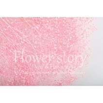 프리저브드 미니안개 핑크 일본산