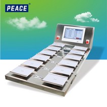 샤인머스켓 포도 청포도 거봉 자동 무게측정 조합형 중량 선별기 선별기계, P-1000 조합형 중량 선별기