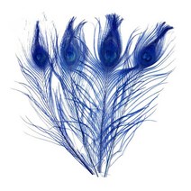 공예용깃털 펜 먼지털이 10 개/몫 염색 공작 깃털 길이 25-30CM 인치 Diy 보석 장식 꿩, 11 Royal blue