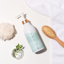 약담초 탈모 증상 완화 샴푸 500g 두피 무자극, 1개