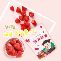 동결건조 과일칩 아기 과자 간식 4종, 4개, 사과